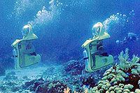 Cozumel Mini-Subs Excursions