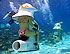 mini subs adventure cozumel