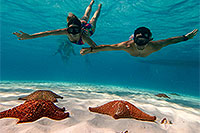 Private El Cielo Snorkeling Tour Cozumel