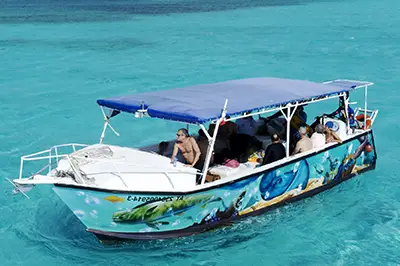 Cozumel Snorkeling Tour
