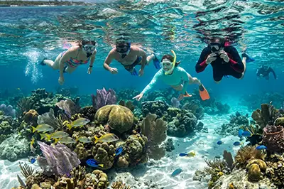 Columbia Reef Snorkeling Tour