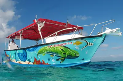 Palancar Reef Snorkeling