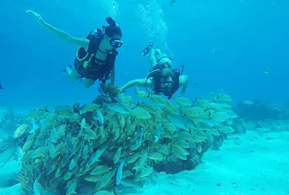 Chankanaab Mayan Adventure