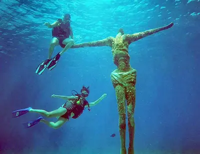 Dolphin Swim Adventure