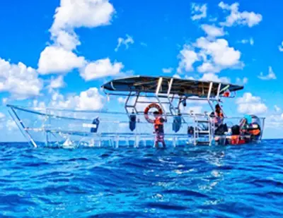 Private Catamaran Cozumel