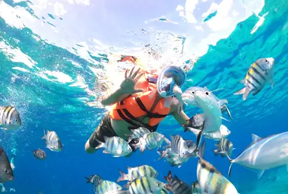 Snorkeling Tour on a Clear Boat Cozumel