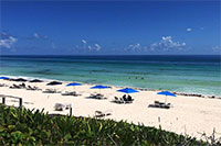 Cozumel Dune Buggy Tour Excursion