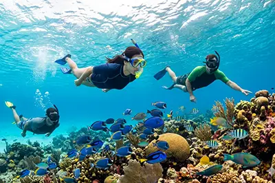 El Cielito Cozumel