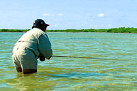 Cozumel Fly Fishing