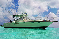 Cozumel Deep Sea Fishing