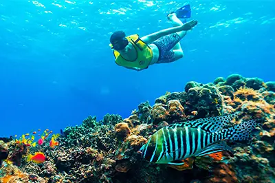 Palancar Snorkeling Cozumel
