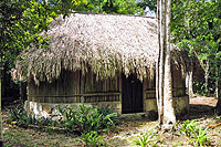 Cozumel Hiking