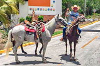 Horseback Riding El Cedral