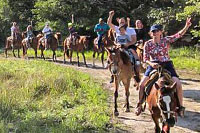 Cozumel Horseback Riding