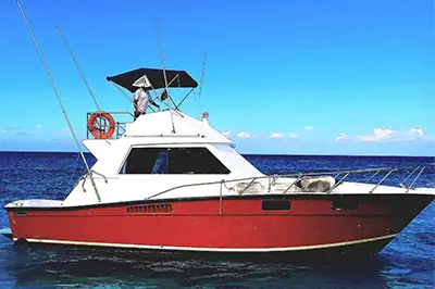 Cozumel Private Snorkeling Tour