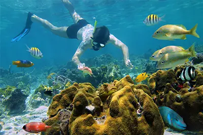 Cheap Private Snorkeling Tour Cozumel