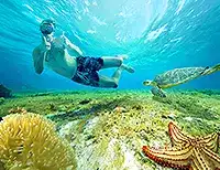 El Cielo Snorkeling Tour Cozumel