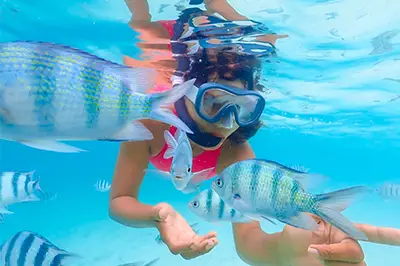 Cozumel Snorkeling