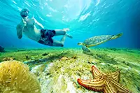 Cozumel Snorkeling