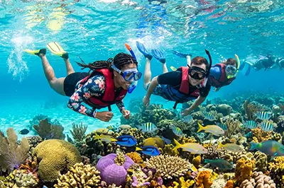 El Cielito Cozumel