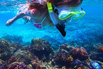 Cozumel Snorkeling Tour