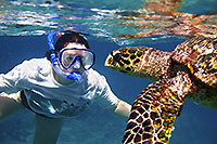 Cozumel Snorkeling