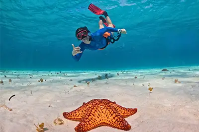Palancar and El Cielo Snorkeling Cozumel