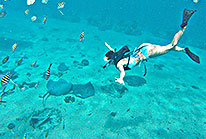 Snorkel Cozumel Mexico