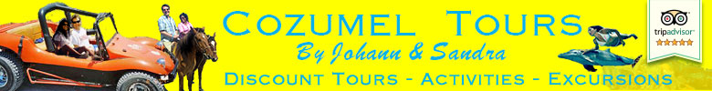 Cozumel Tours Banner Logo