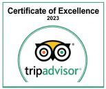 Cozumel Tours